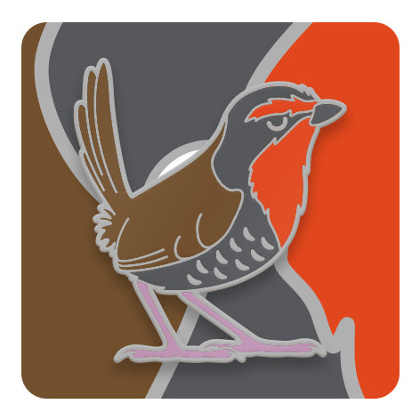 Pins de Aves de Chile