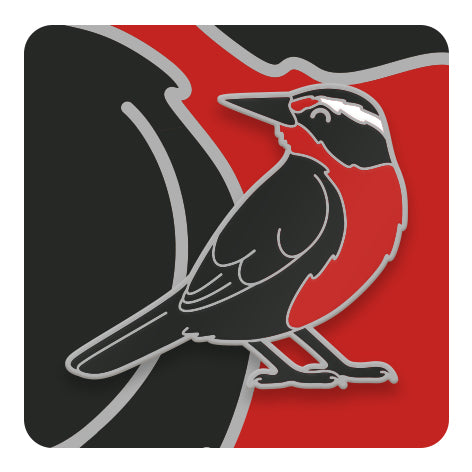 Pins de Aves de Chile