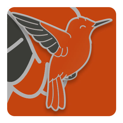 Pins de Aves de Chile