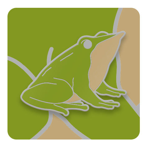 Pins de Animales de Chile
