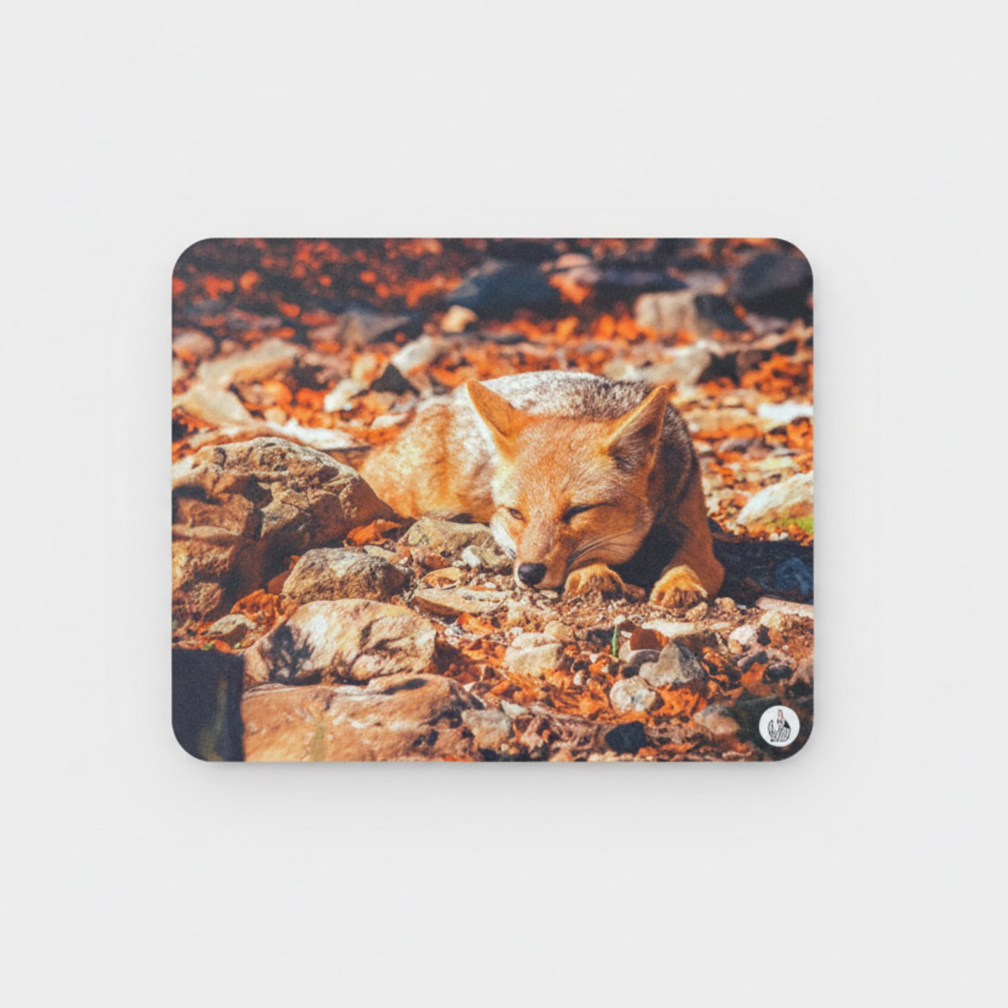MOUSEPADS Fotografía Fauna Chilena